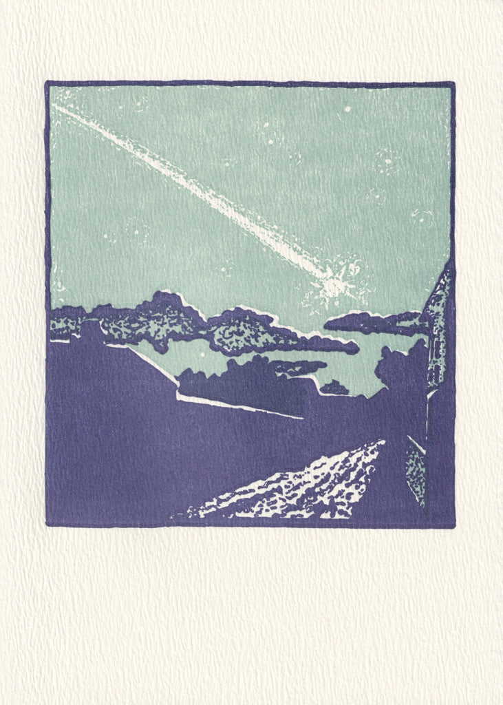 A fireball shoots through the green night sky. Houses and trees in the foreground are a terrestrial counterpoint to the happenings far above us.