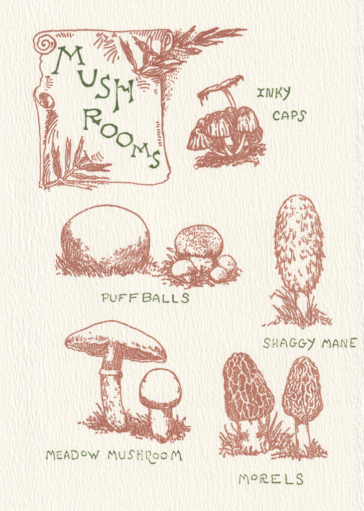 The Great Outdoors