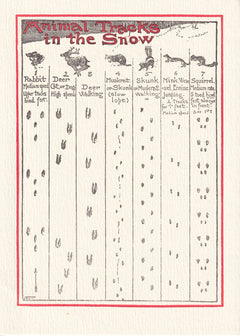 Animal Tracks — front design
