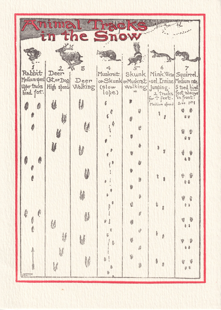 Animal Tracks - Personalize letterpress holiday card