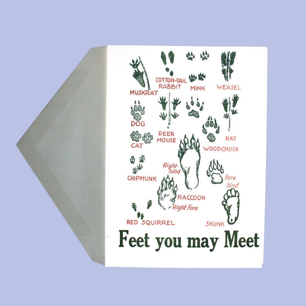 Feet You May Meet