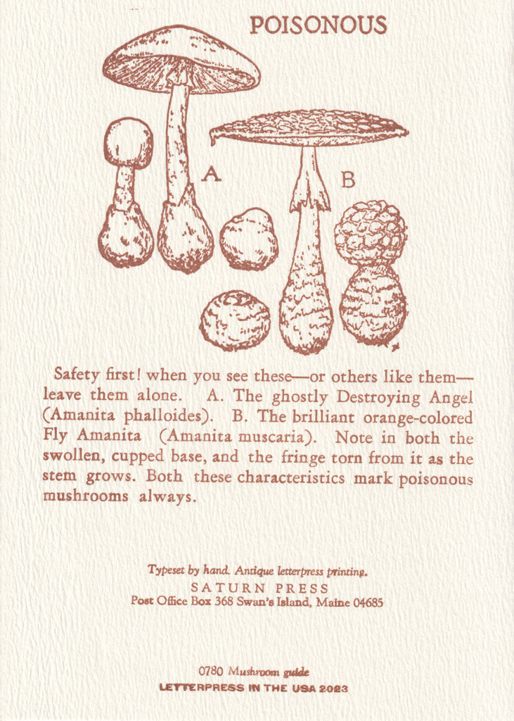 Mushroom Guide