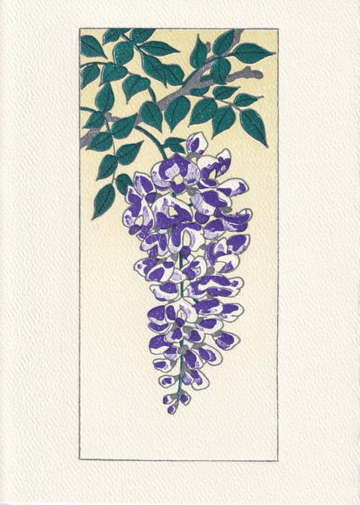Wisteria