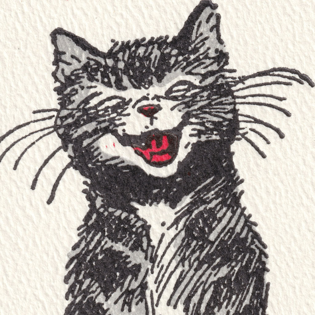 Cat Smile