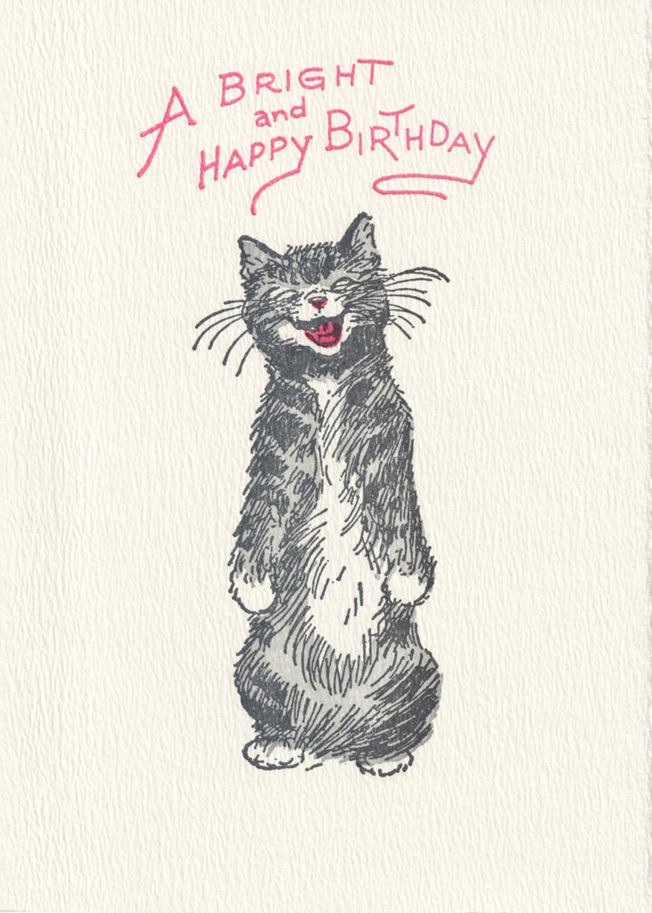 Cats Meow Bundle