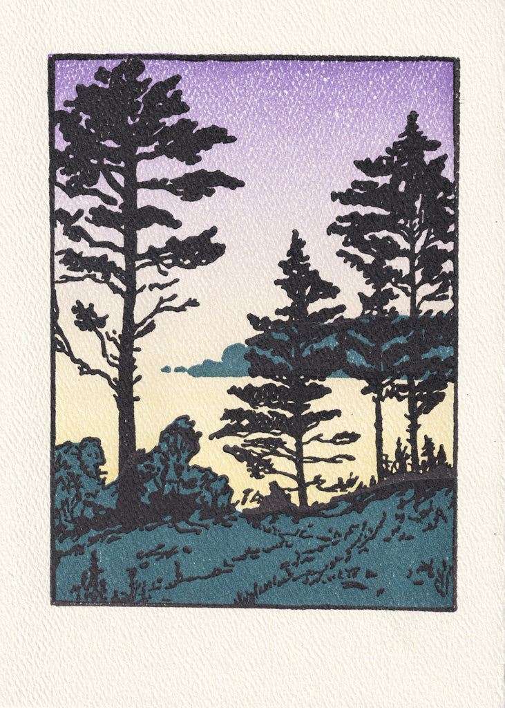 Twilight Sheepscot River