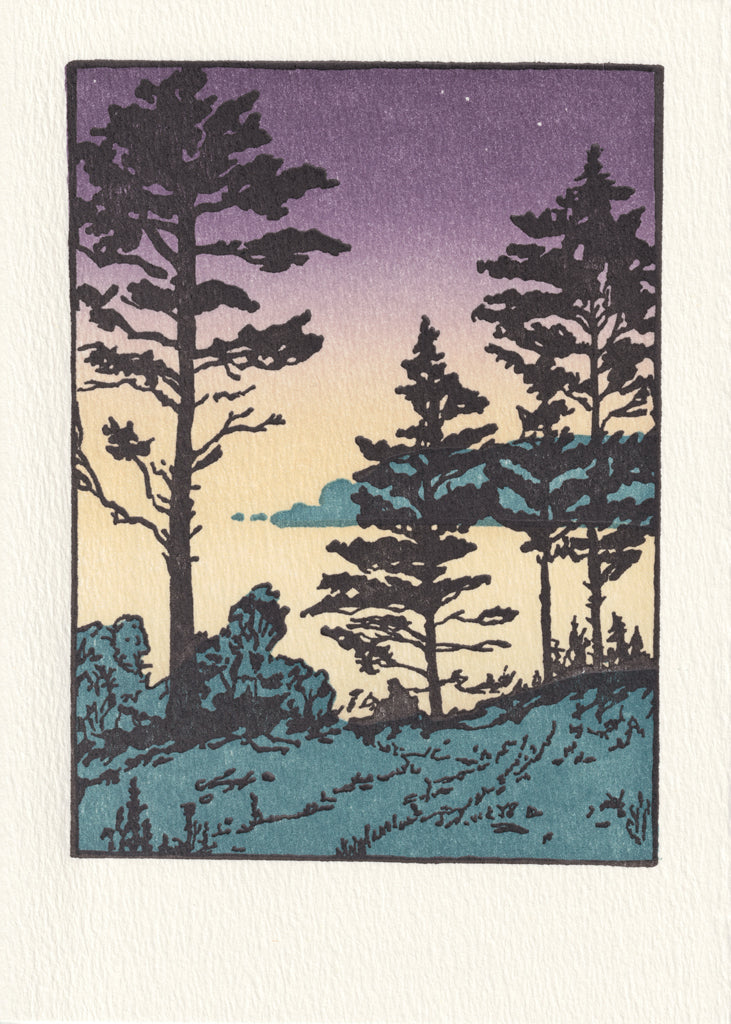 Magnificent Trees Gift Box