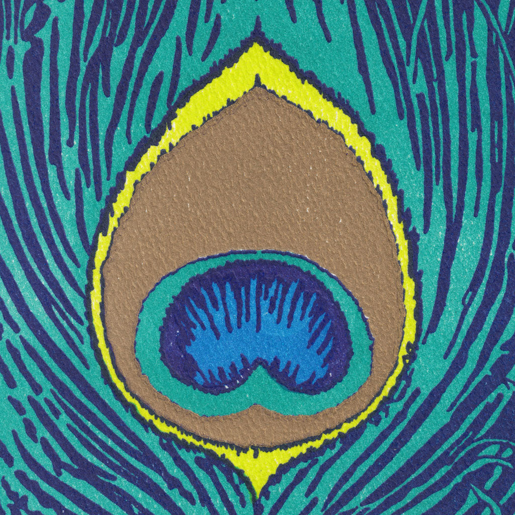 Peacock Feather