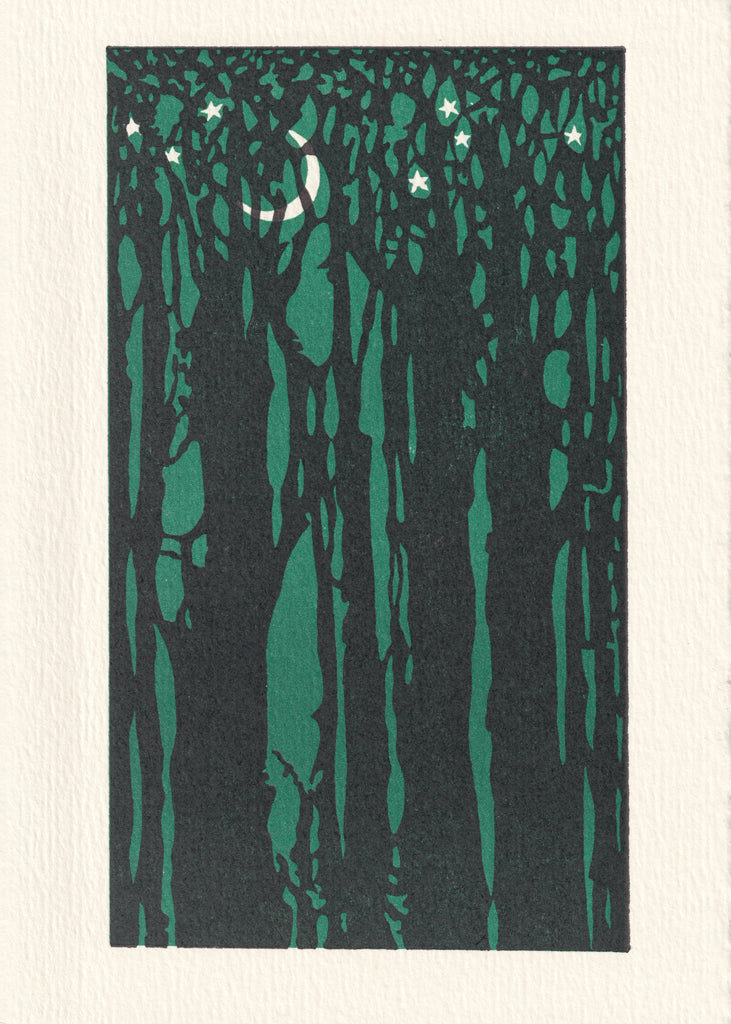 Thicket