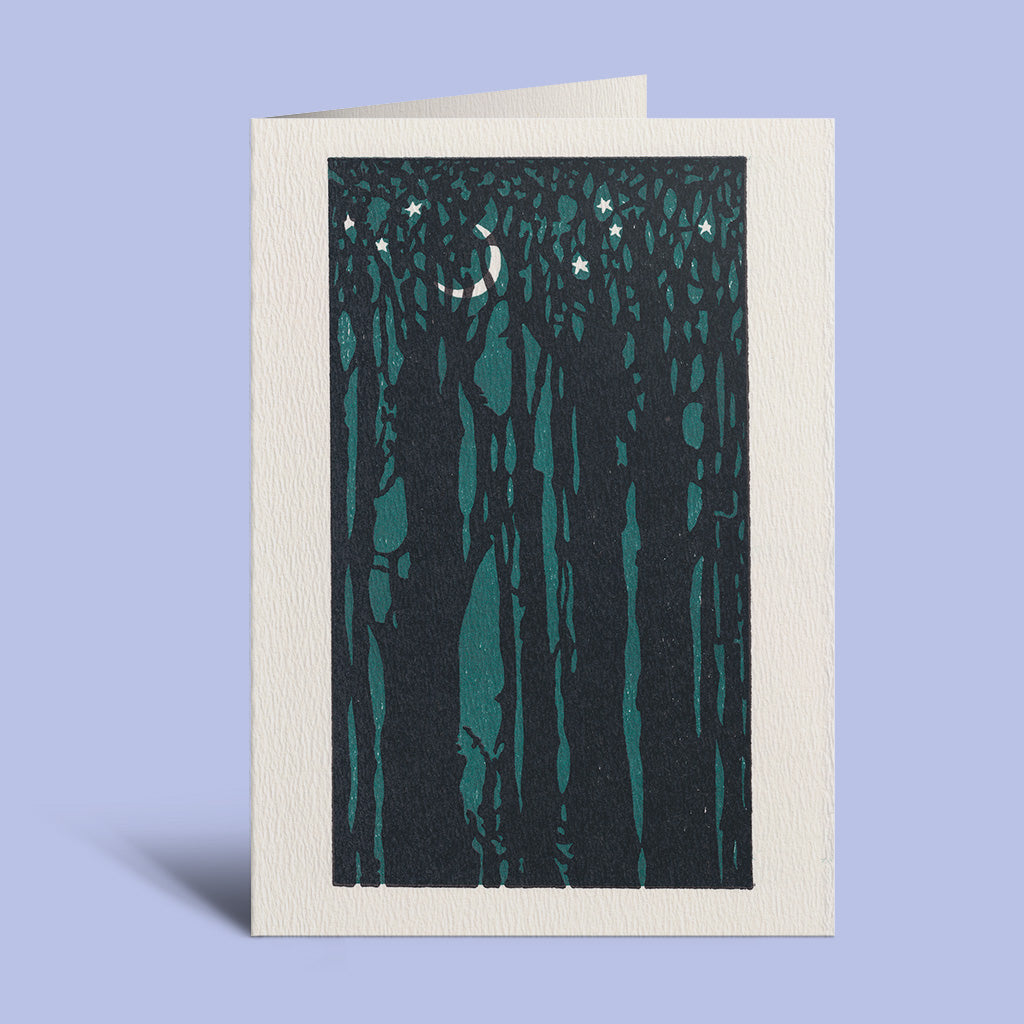 Thicket