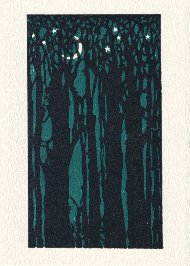 Thicket