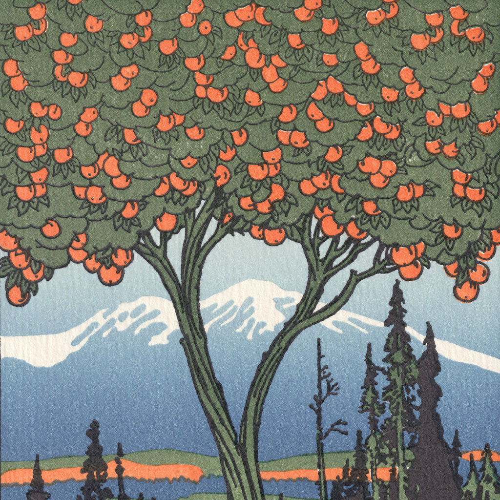 Orange Tree