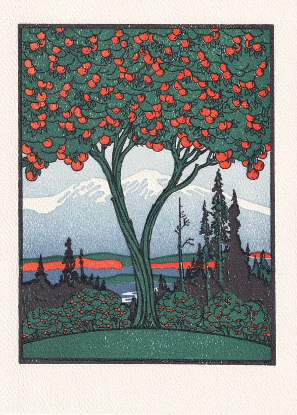 Orange Tree