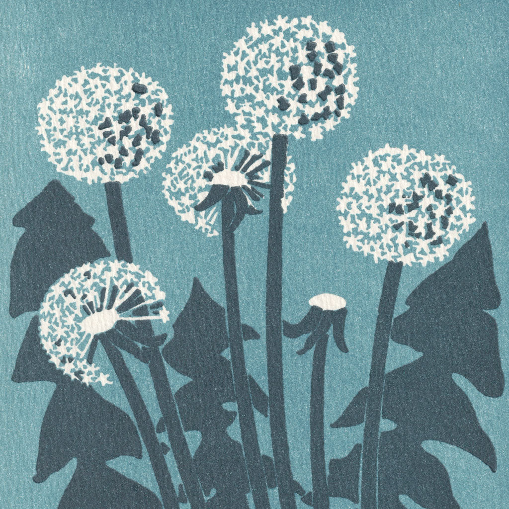 Dandelions