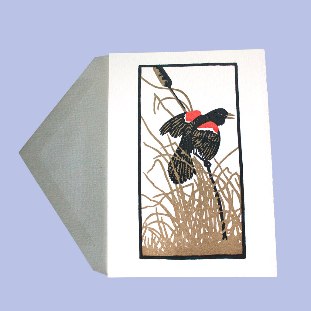Red Wing Blackbird