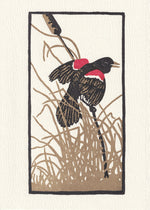 A bird perched on a reed. Marsh grasses blow in the wind.