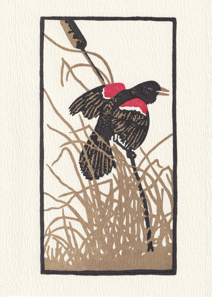 A bird perched on a reed. Marsh grasses blow in the wind.