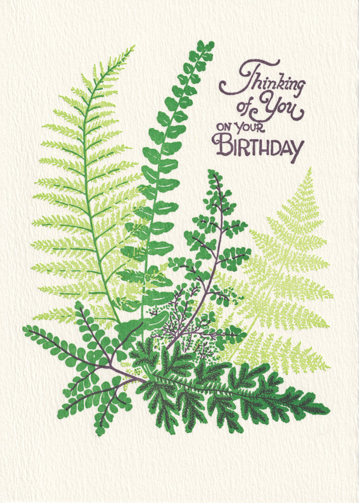 Birthday Bundle