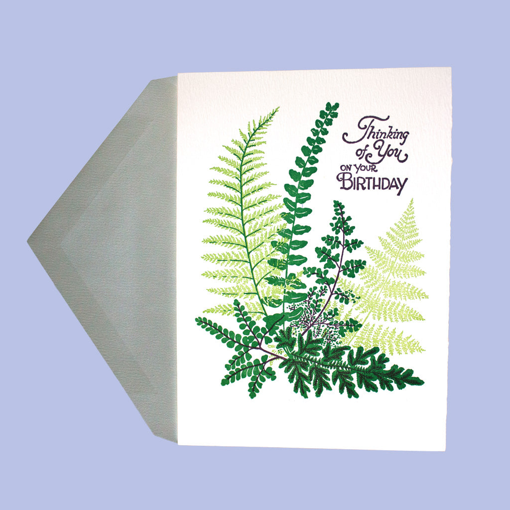 Ferns