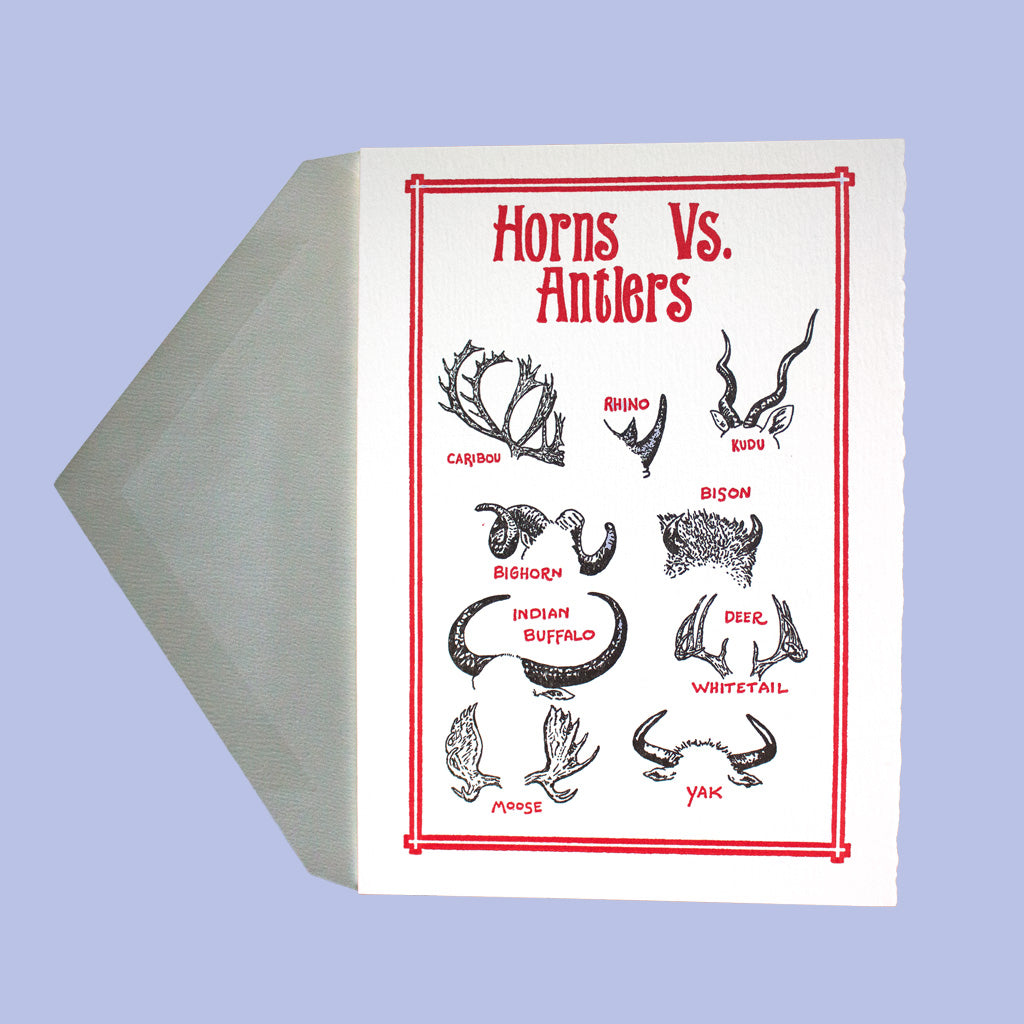 Horns vs Antlers