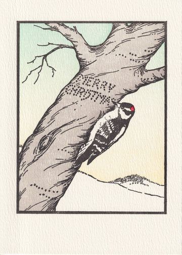 Woodpecker Christmas - Personalize