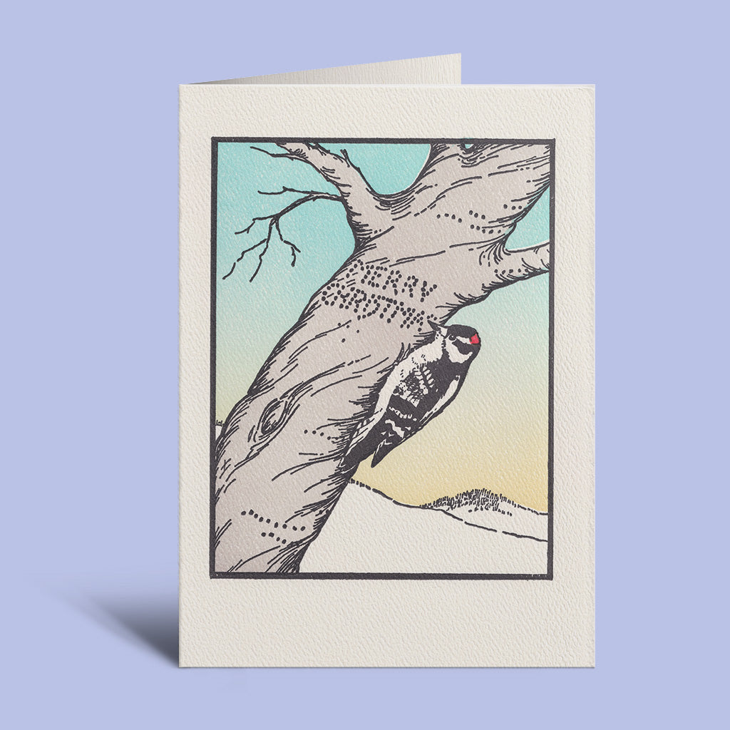 Woodpecker Christmas - Holiday Box