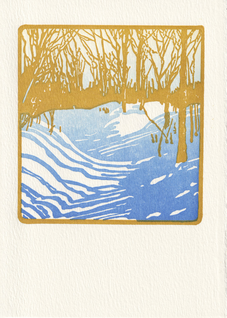 Winter Sunshine