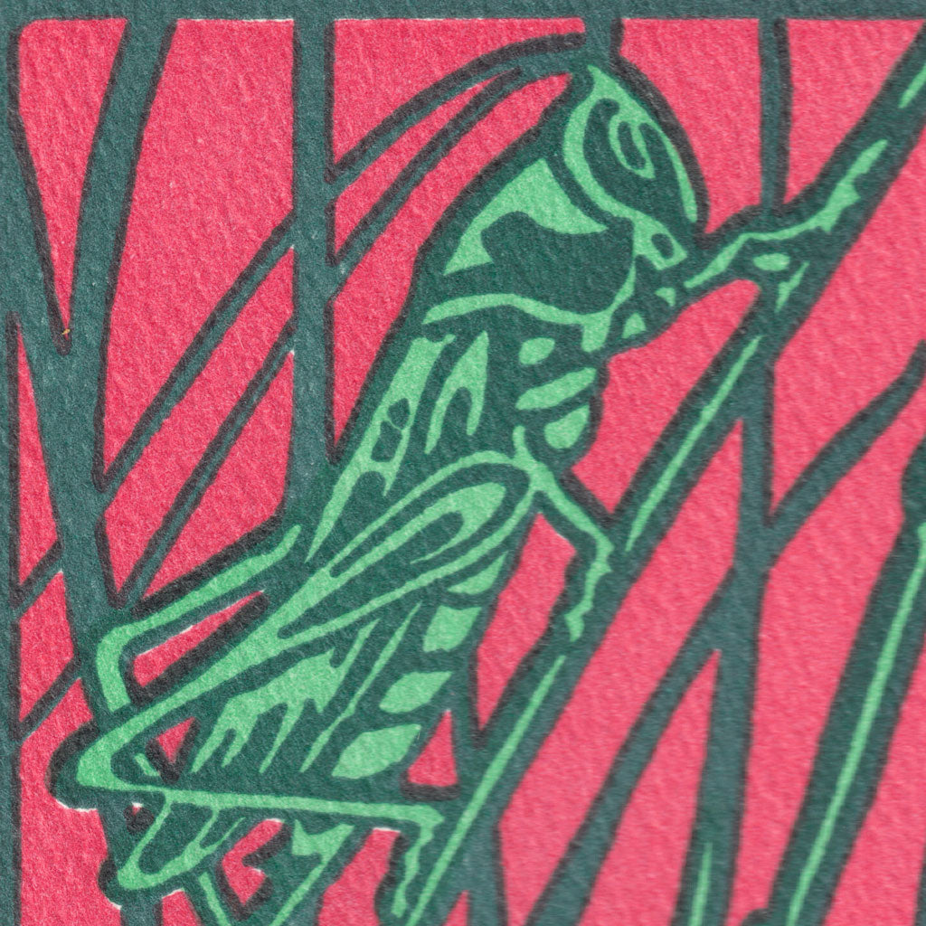 Grasshoppers