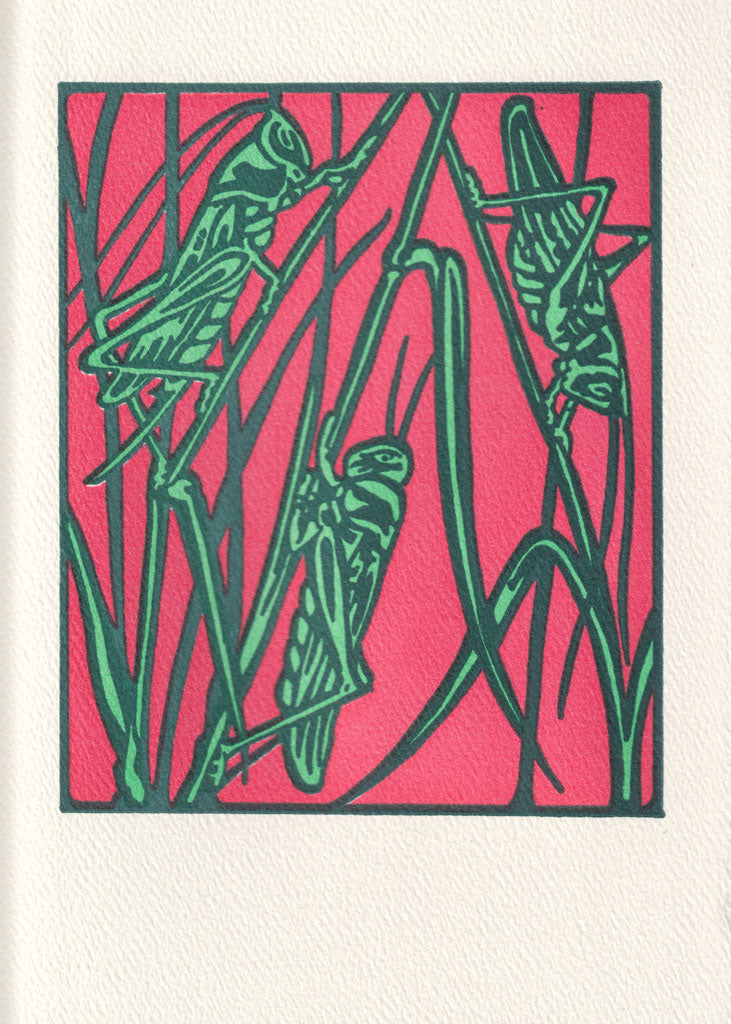 Grasshoppers