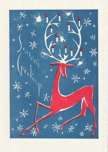 Lucia - Greeted