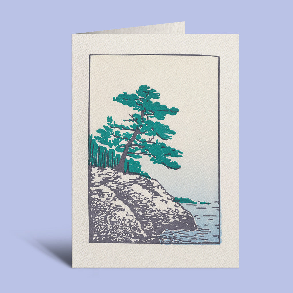 Maine Coast