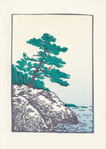 Maine Coast