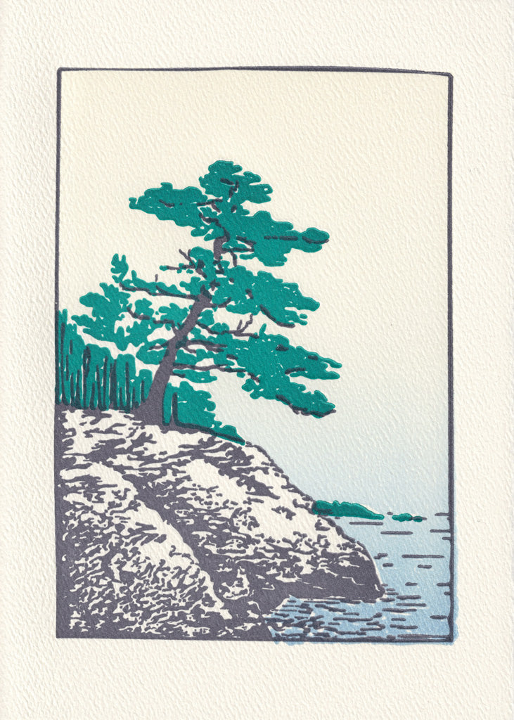 Maine Coast