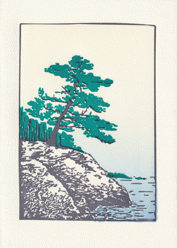 Maine Coast