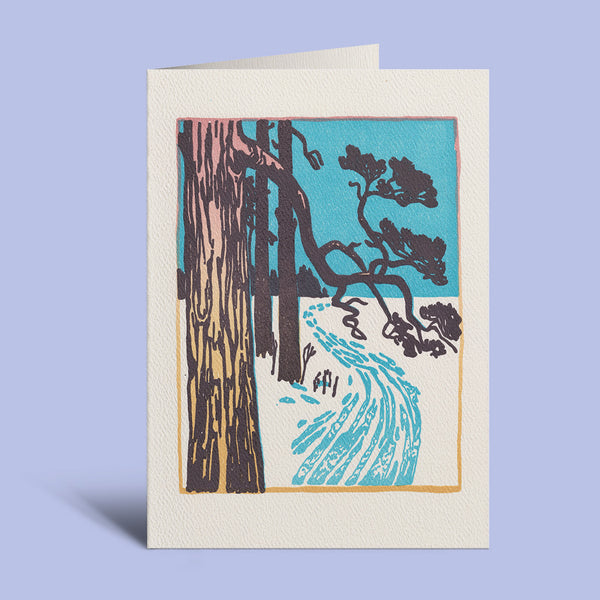 Winter's Walk — front design