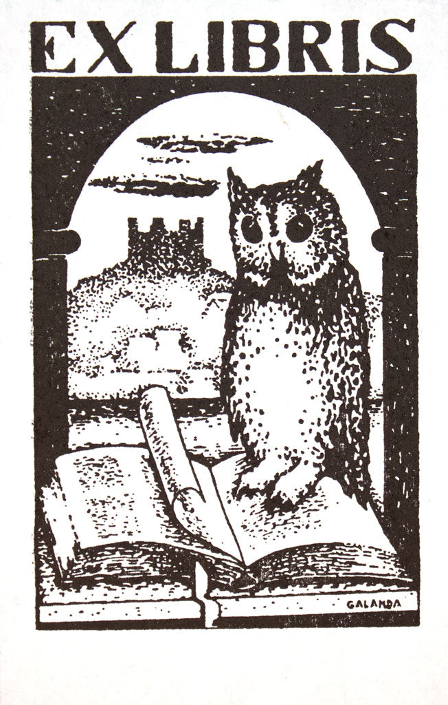Owl