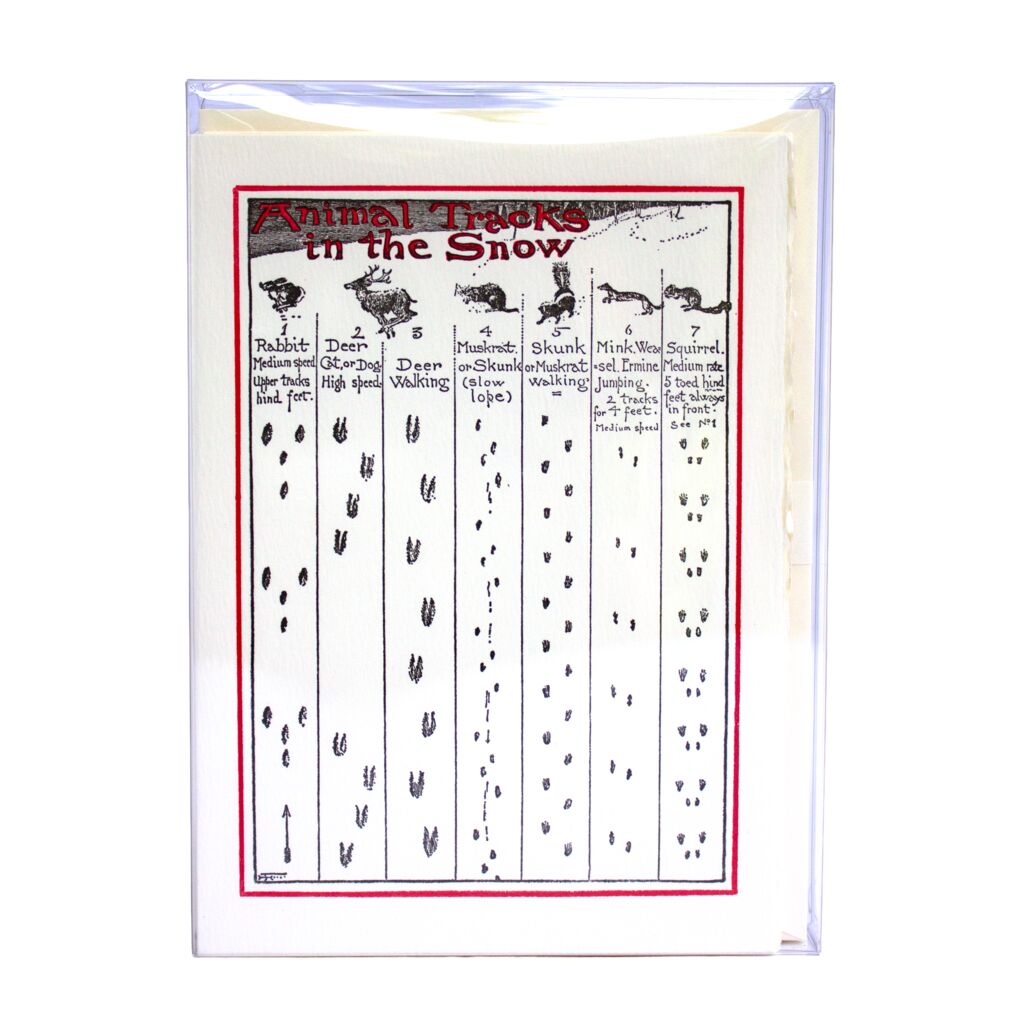 Animal Tracks - Holiday Box — front view [BX0163G_Front]