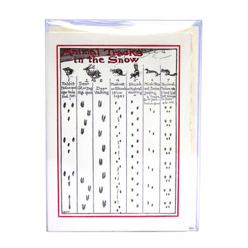 Animal Tracks - Holiday Box — front view [BX0163G_Front]