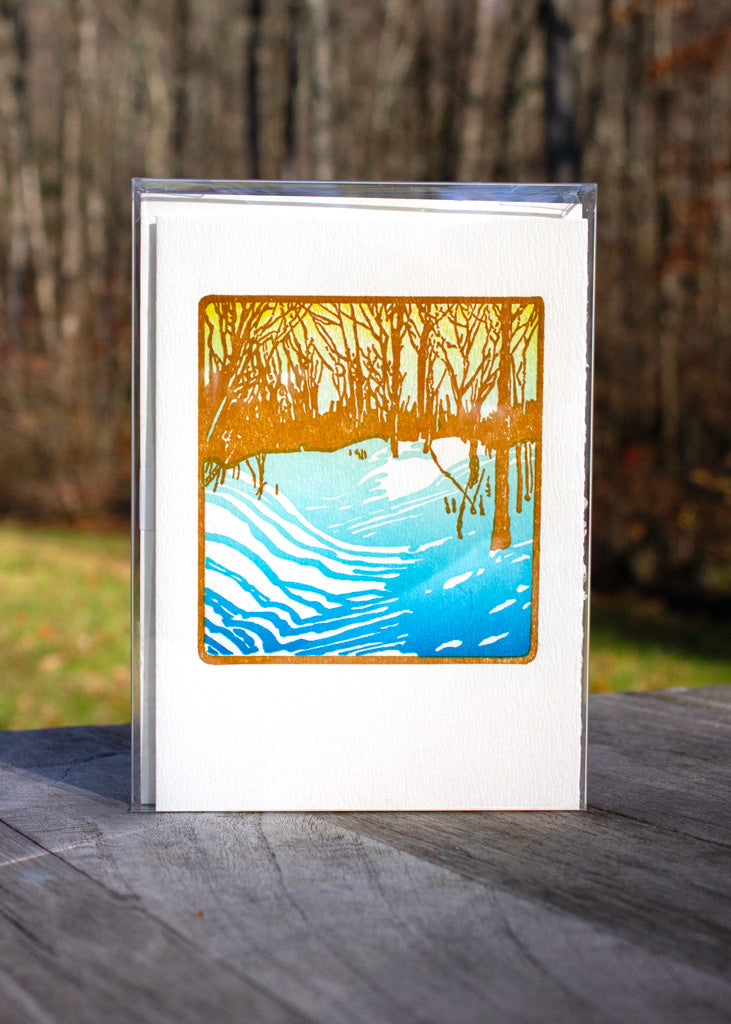 Winter Sunshine - Holiday