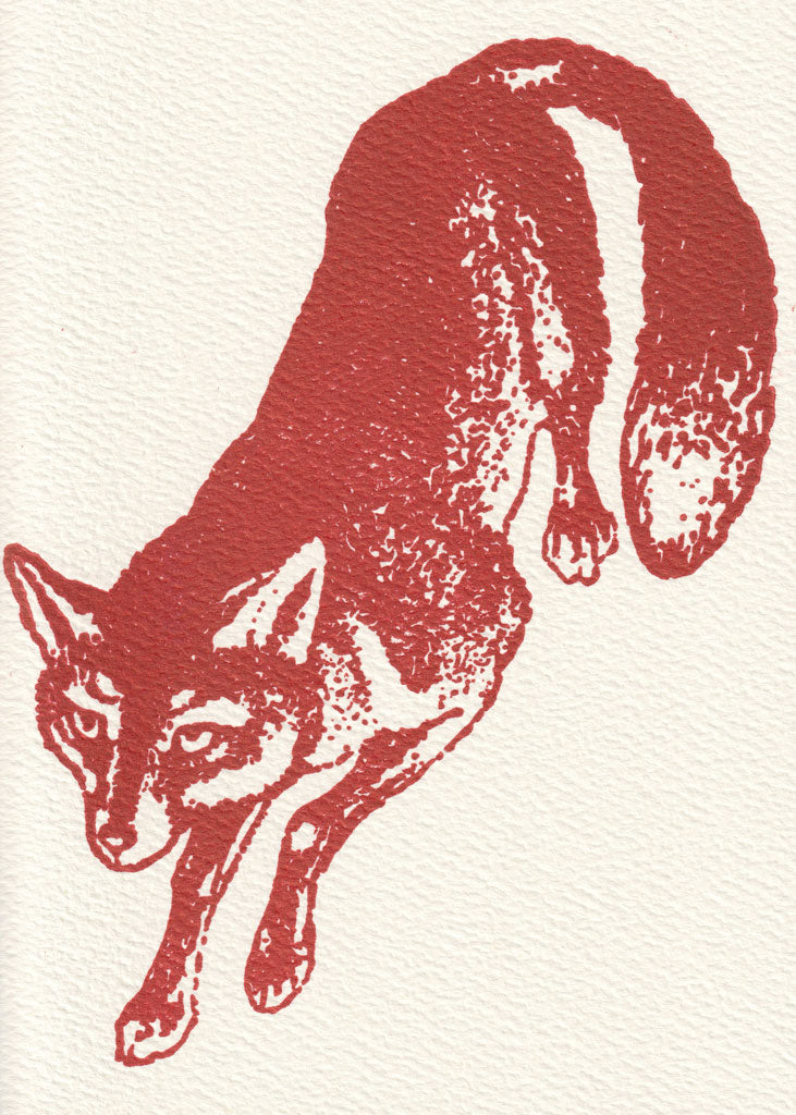 Sly One - Blank Note Cards