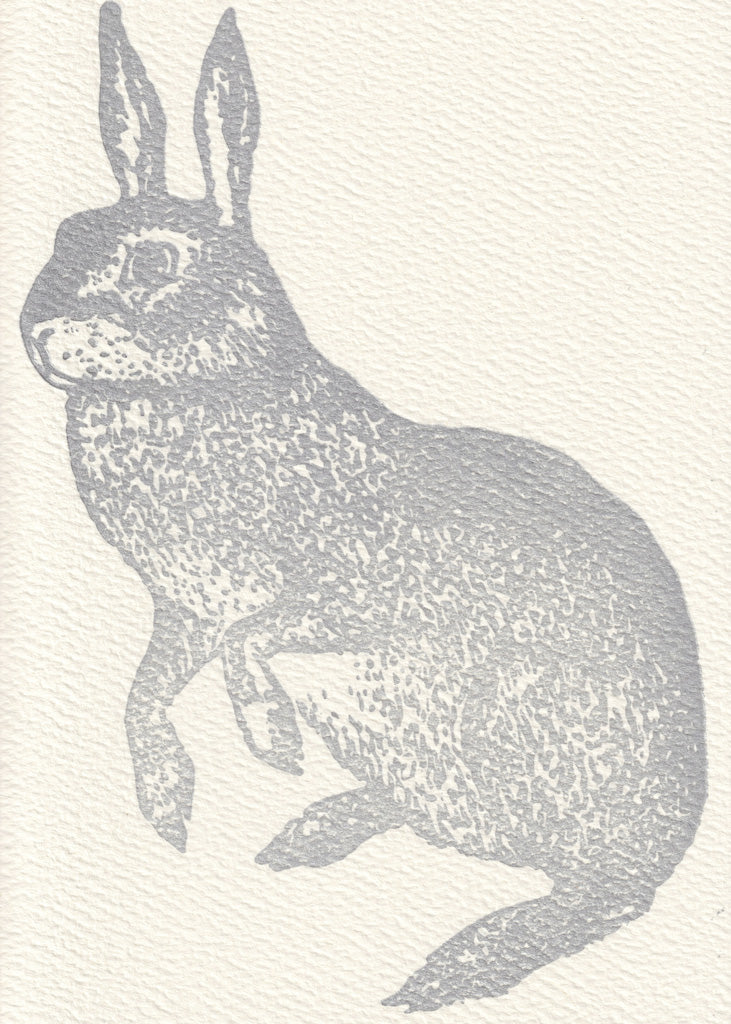 Grey Hare - Blank Note Cards