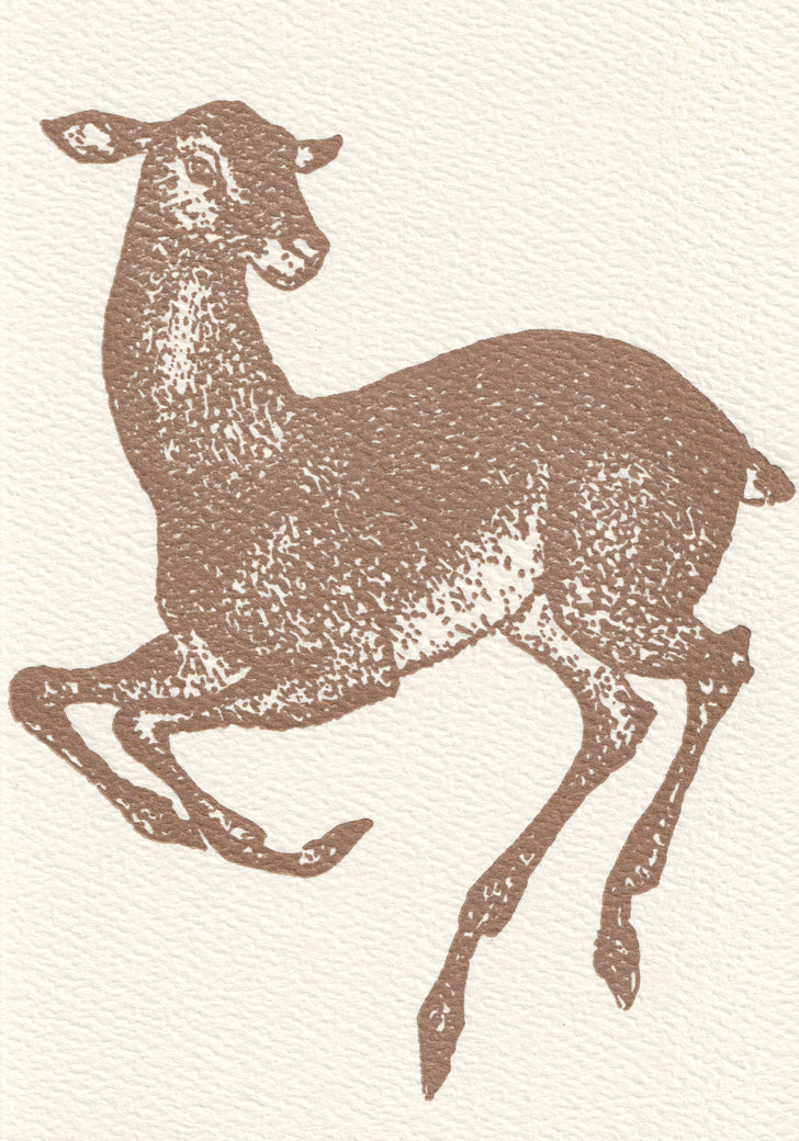 Doe - Blank Note Cards
