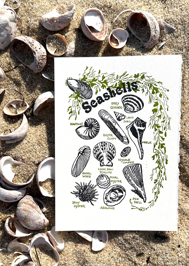 Seashells